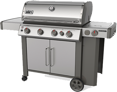 Genesis Grill Image