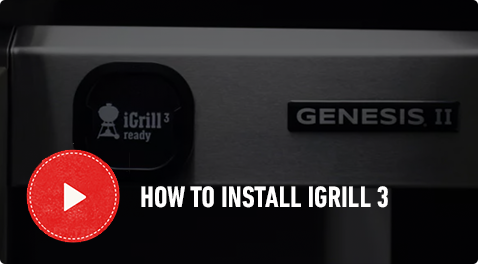 IGrill 3 Video